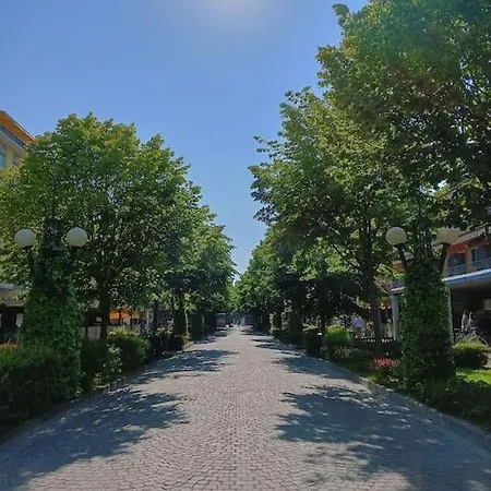 Viale Di Life 公寓